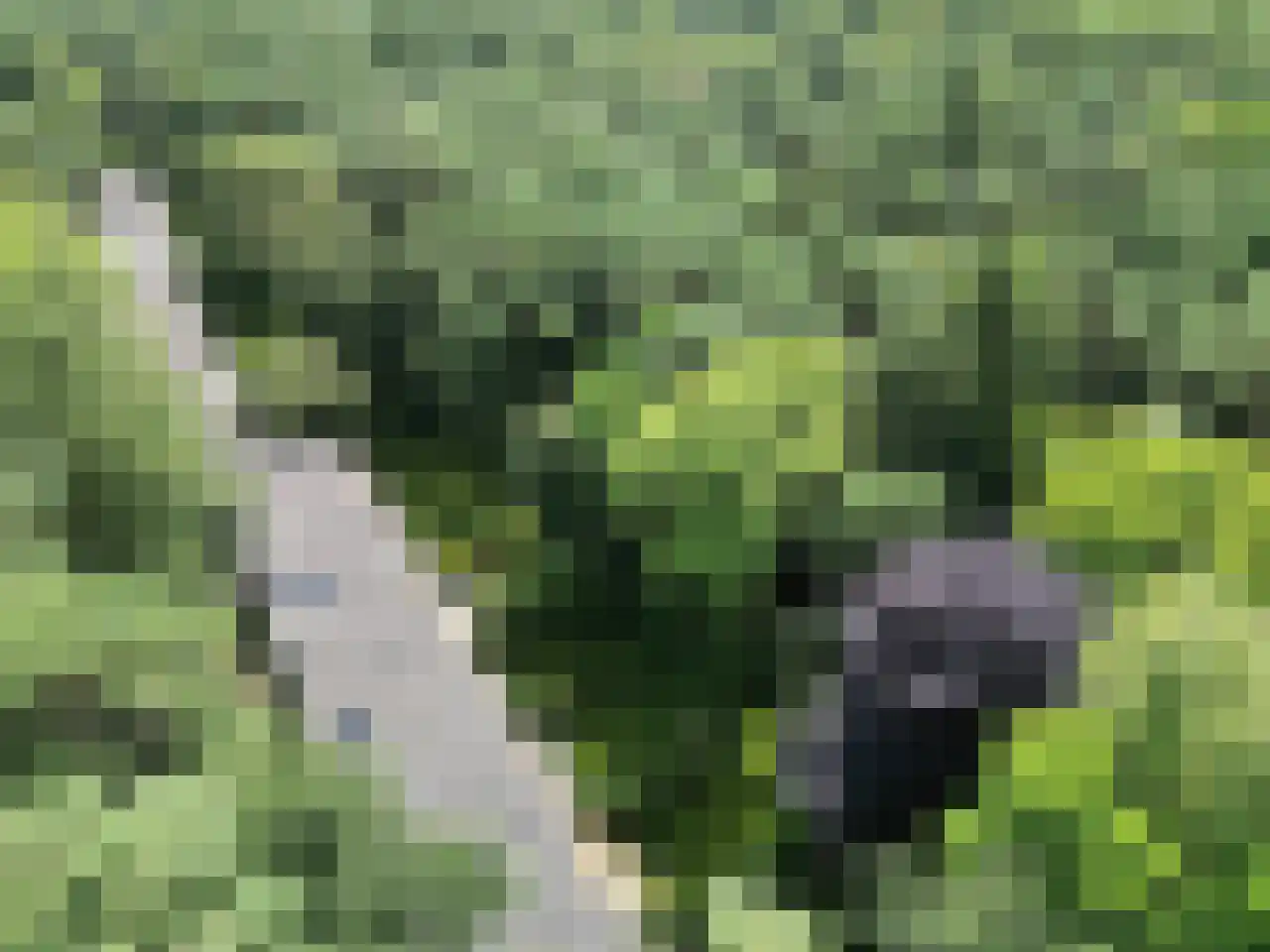 Bovenweg 5 34 Otterlo thumbnail 24