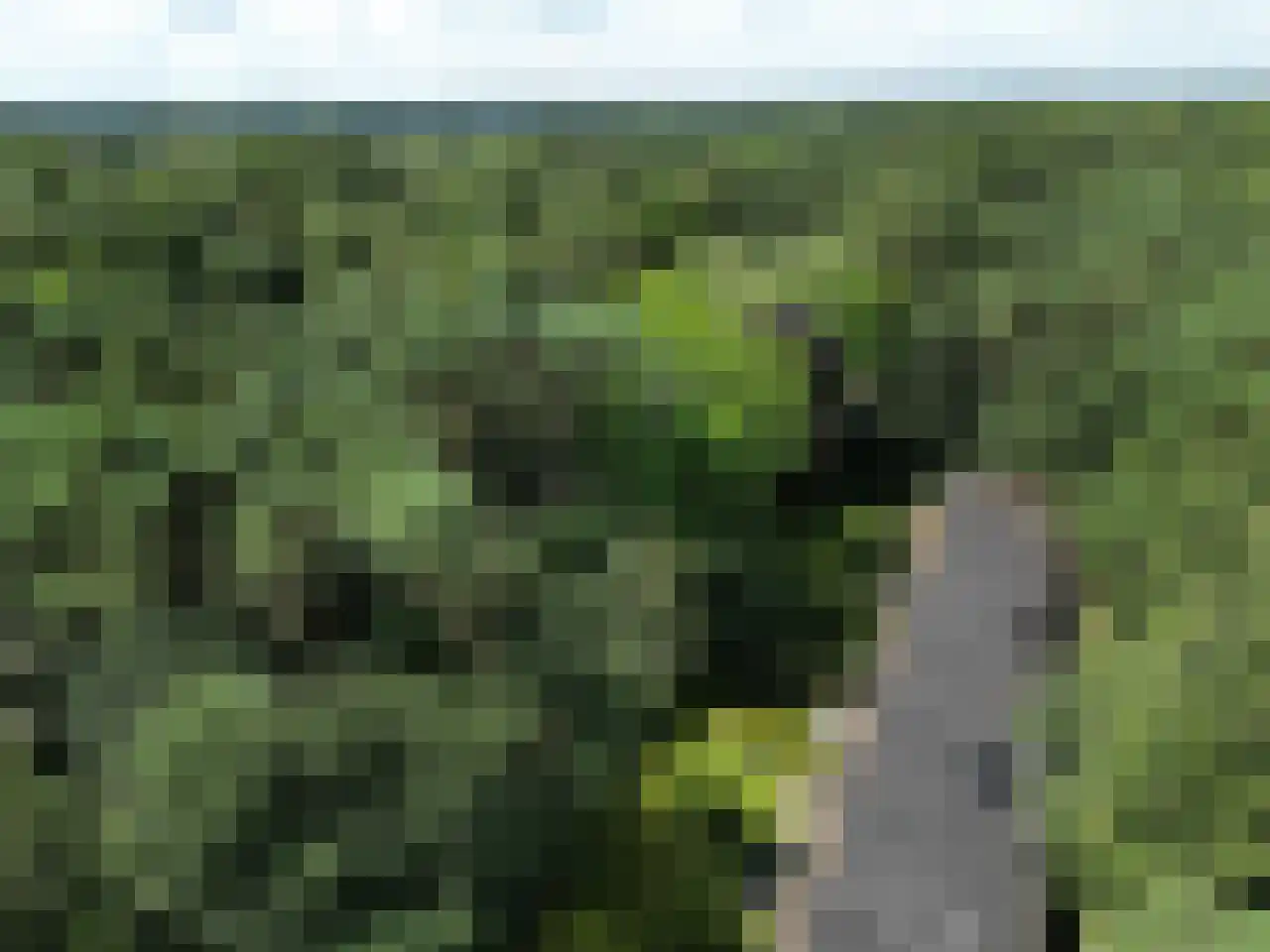Bovenweg 5 34 Otterlo thumbnail 25
