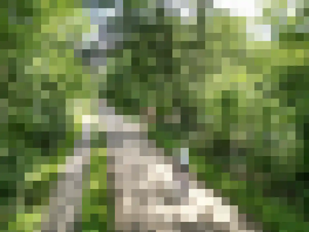 Bovenweg 5 34 Otterlo thumbnail 28
