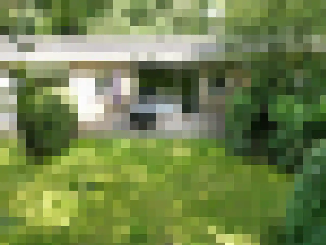 Bovenweg 5 34 Otterlo thumbnail 7