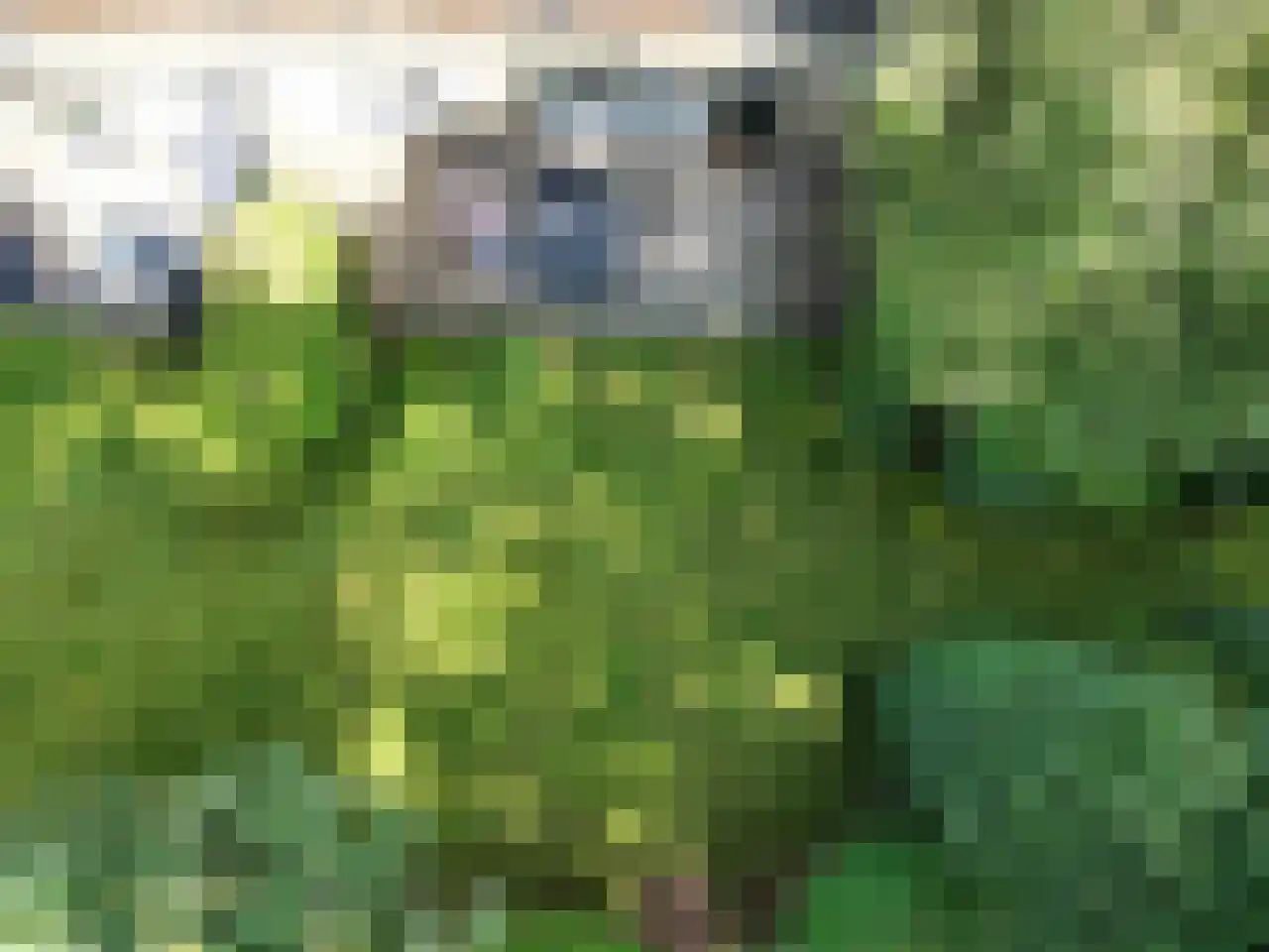 Bovenweg 5 34 Otterlo thumbnail 8