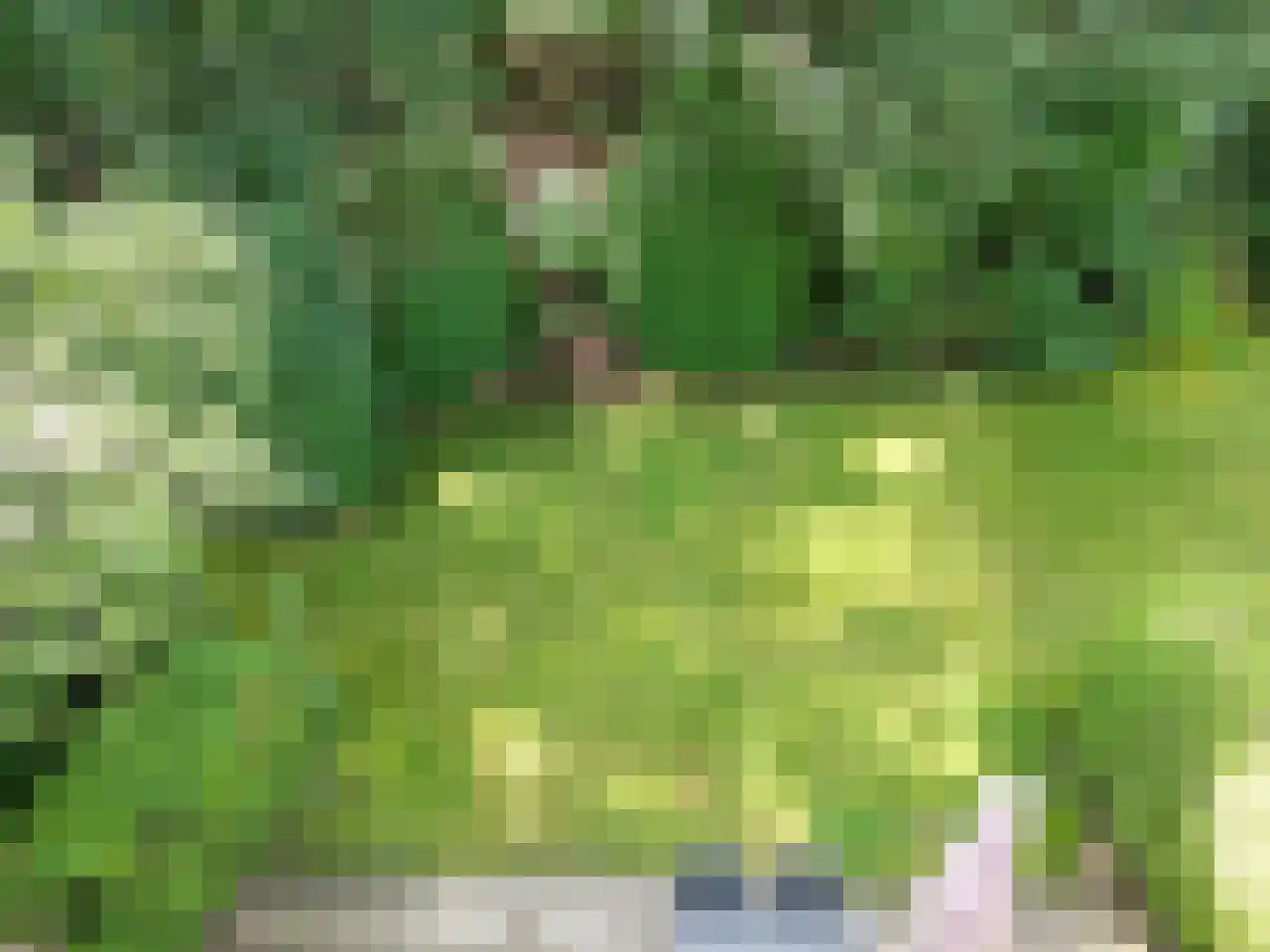 Bovenweg 5 34 Otterlo thumbnail 9