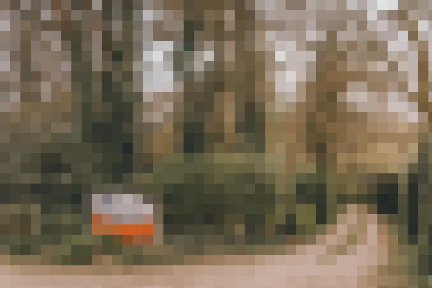 Bovenweg 5 64 Otterlo thumbnail 4