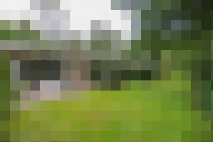 Bovenweg 5 68 Otterlo thumbnail 20