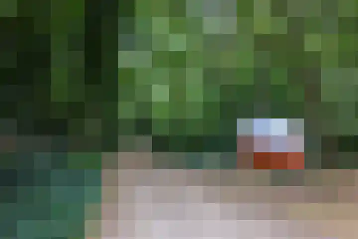 Bovenweg 5 68 Otterlo thumbnail 21