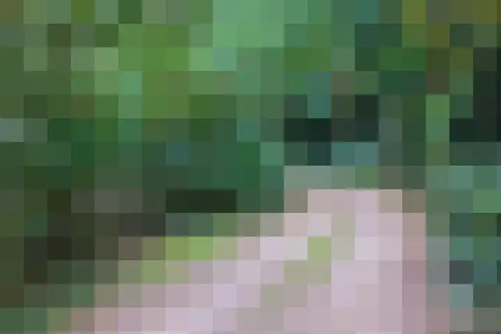 Bovenweg 5 68 Otterlo thumbnail 22