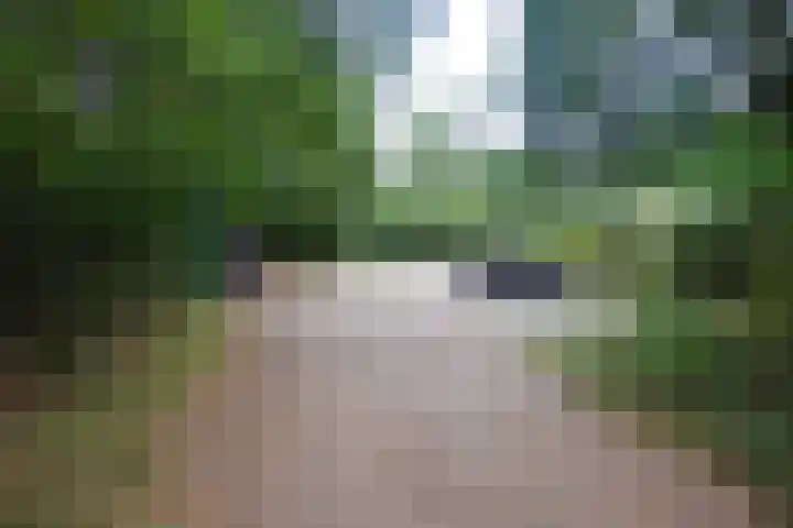 Bovenweg 5 68 Otterlo thumbnail 23