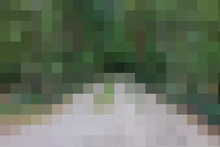 Bovenweg 5 68 Otterlo thumbnail 24