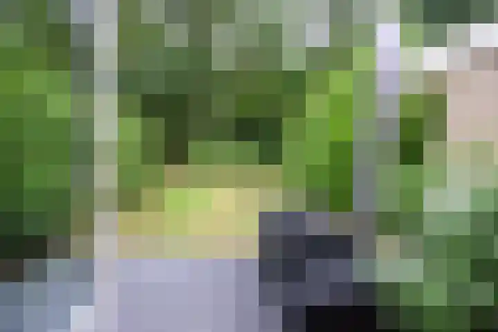 Bovenweg 5 87 Otterlo thumbnail 17