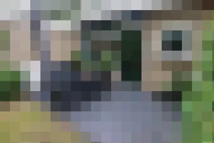 Bovenweg 5 87 Otterlo thumbnail 18