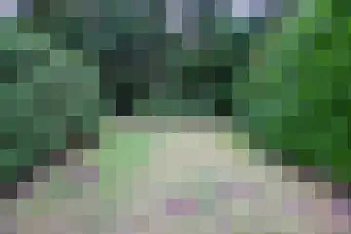 Bovenweg 5 87 Otterlo thumbnail 20