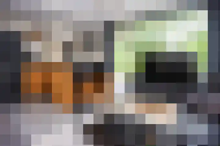 Bovenweg 5 87 Otterlo thumbnail 8
