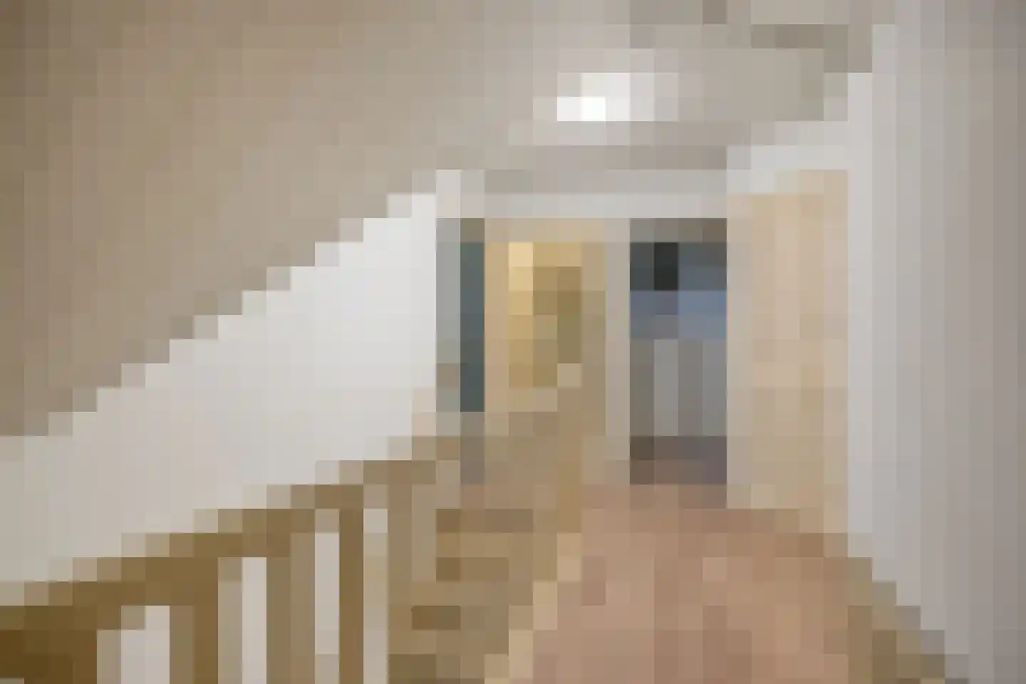 Bovenweg 50 Bennekom thumbnail 33