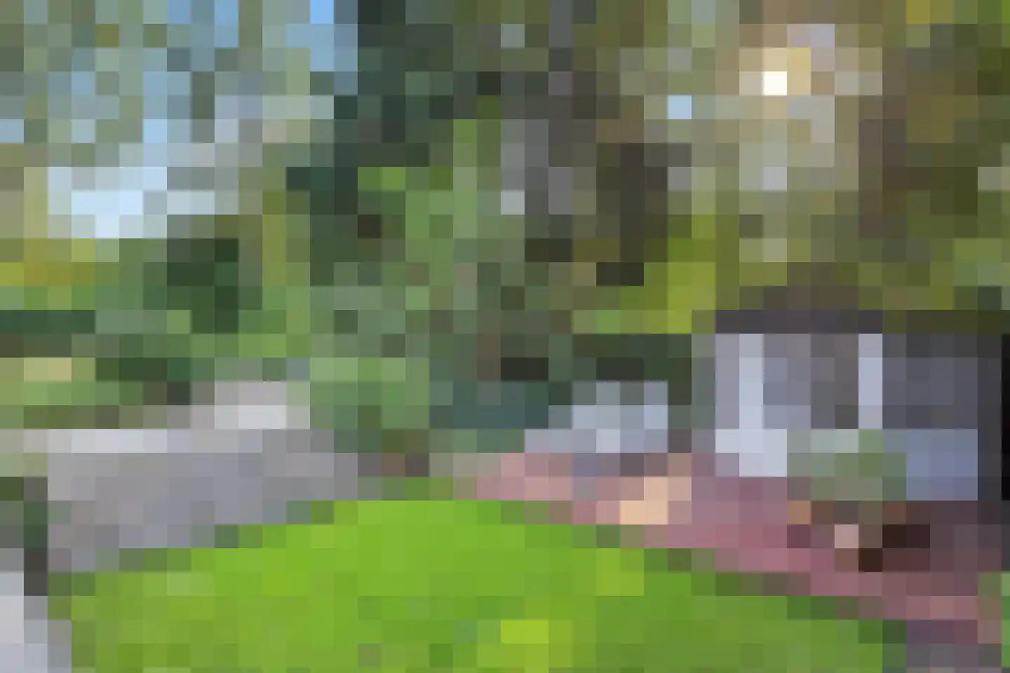 Bovenweg 50 Bennekom thumbnail 52