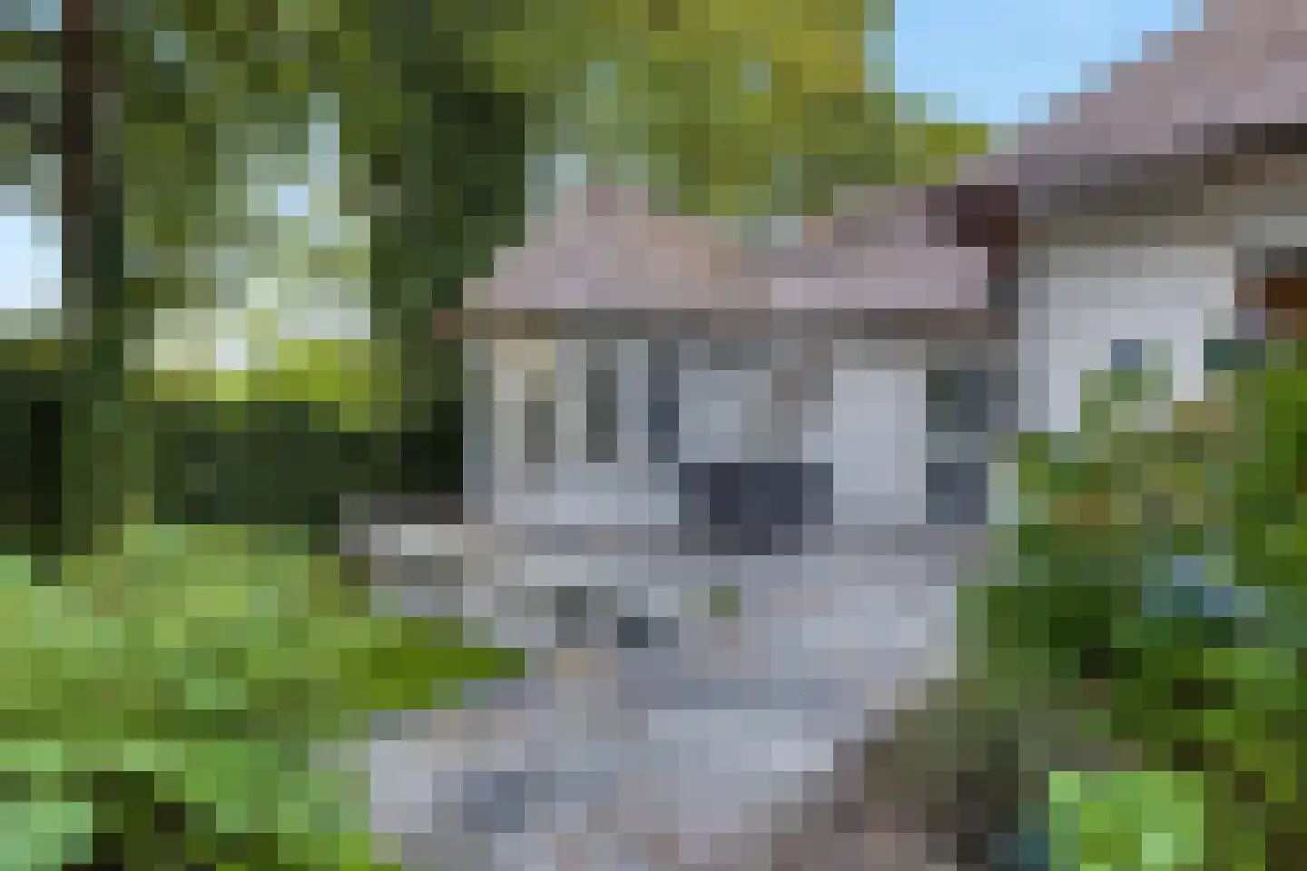 Bovenweg 50 Bennekom thumbnail 53