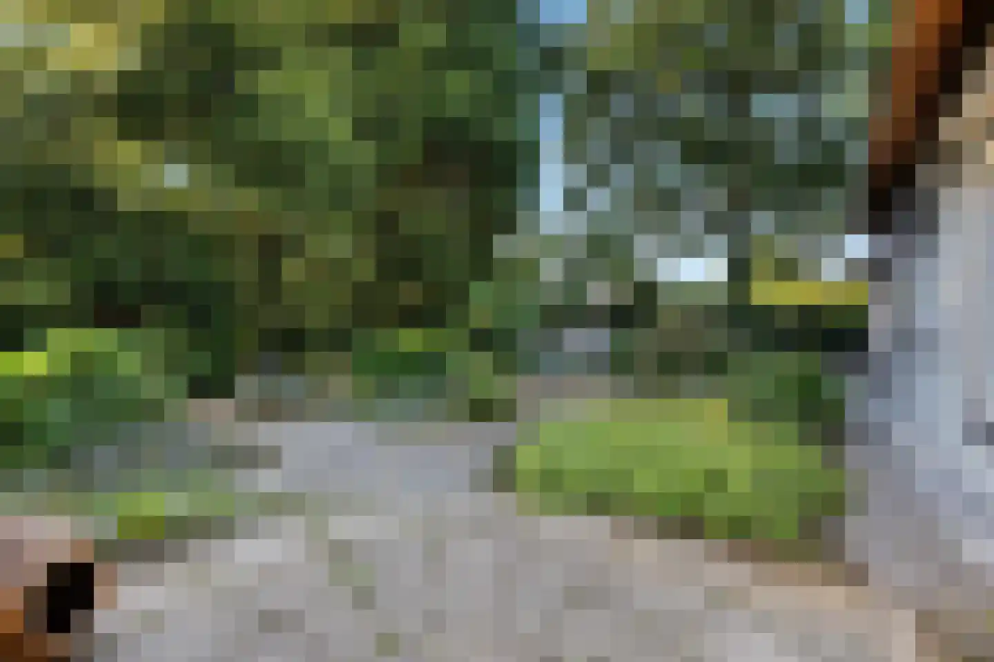 Bovenweg 50 Bennekom thumbnail 57