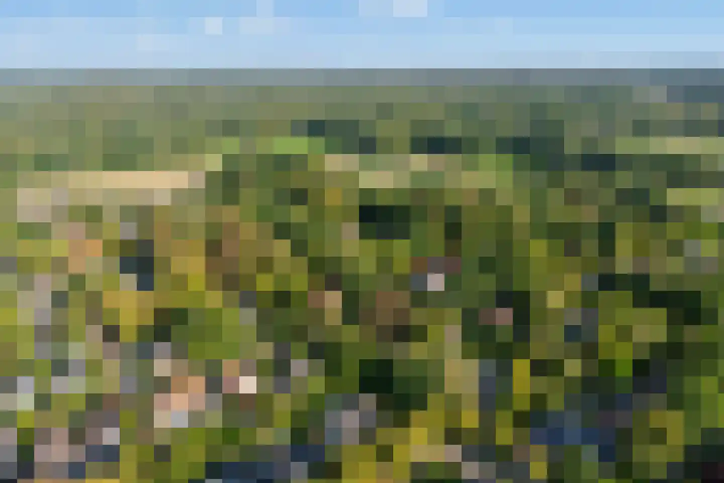 Bovenweg 50 Bennekom thumbnail 67