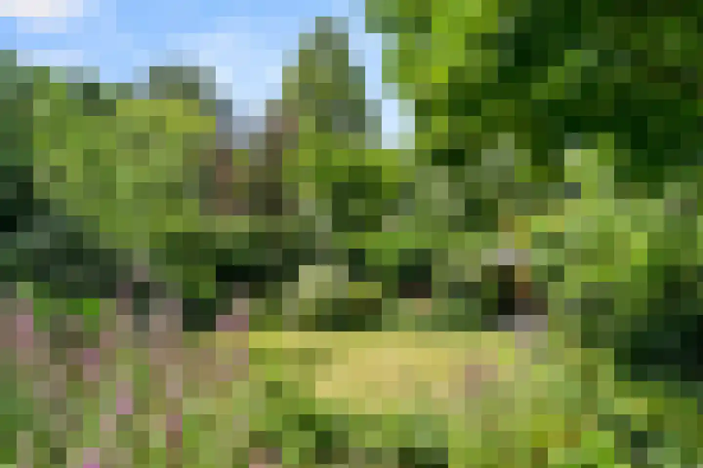 Bovenweg 54 Bennekom thumbnail 10