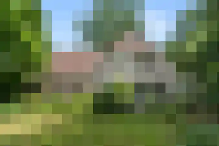 Bovenweg 54 Bennekom thumbnail 13