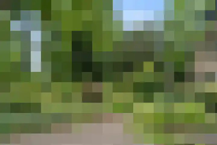 Bovenweg 54 Bennekom thumbnail 5