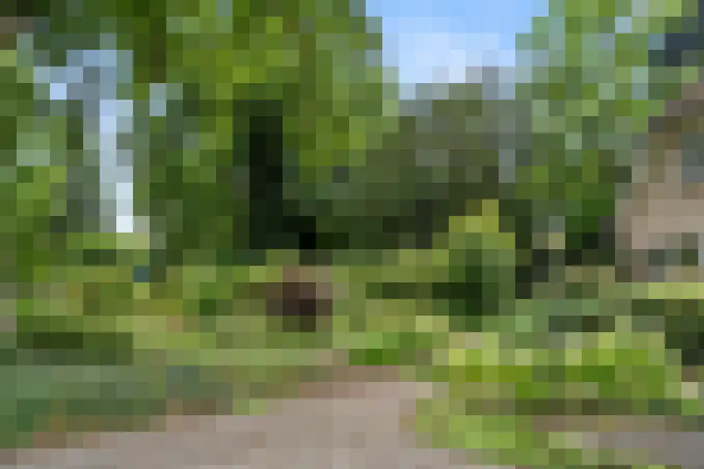 Bovenweg 54 Bennekom thumbnail 5