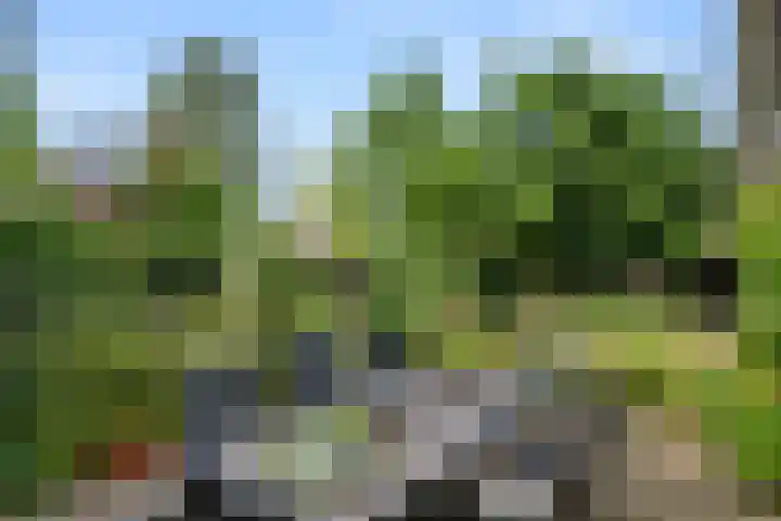 Bovenweg 54 Bennekom thumbnail 6