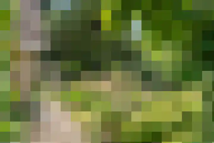 Bovenweg 54 Bennekom thumbnail 7