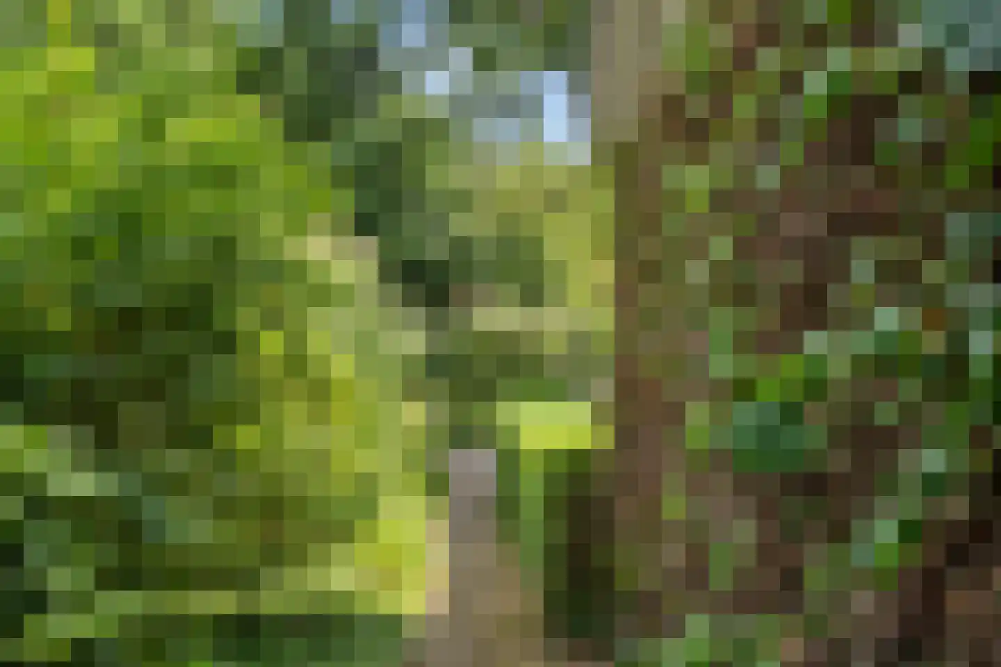 Bovenweg 54 Bennekom thumbnail 8