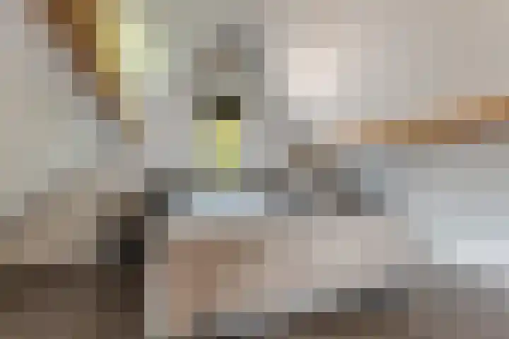 Bovenweg 56 Muntendam thumbnail 22