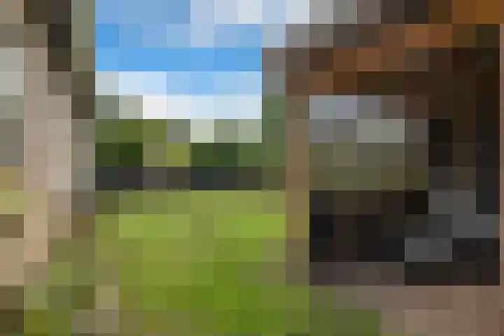 Bovenweg 56 Muntendam thumbnail 26
