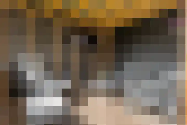 Bovenweg 56 Muntendam thumbnail 27
