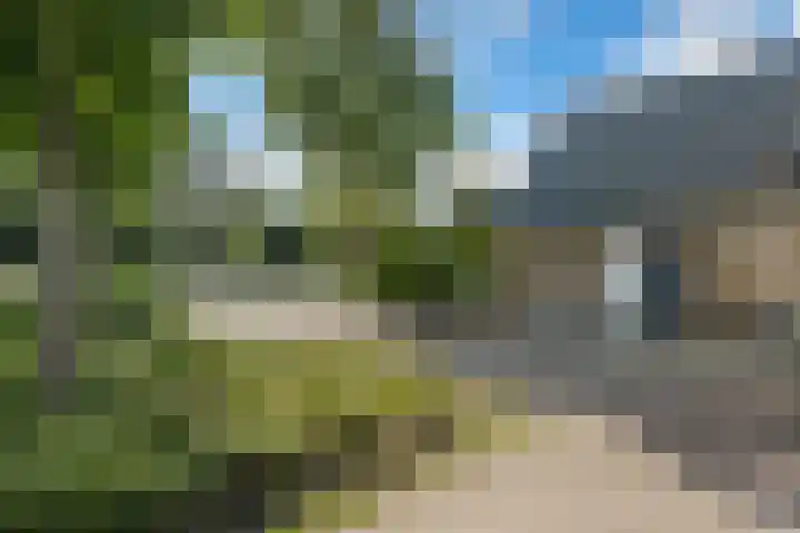 Bovenweg 56 Muntendam thumbnail 31