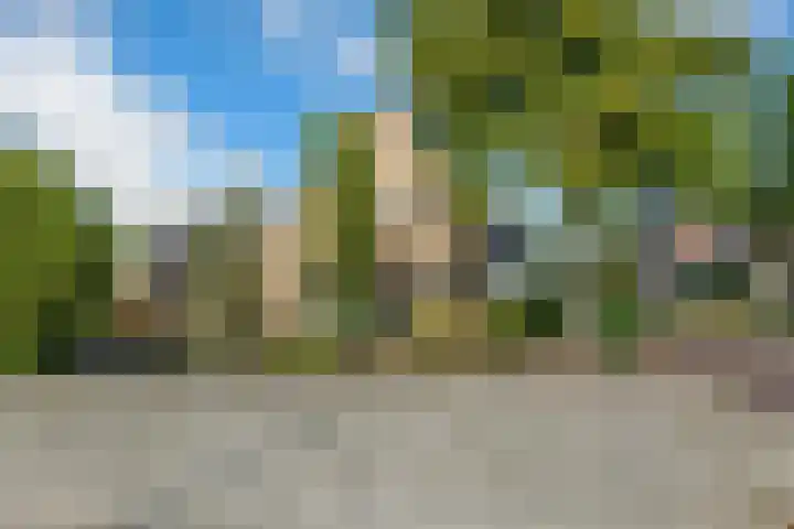 Bovenweg 56 Muntendam thumbnail 32