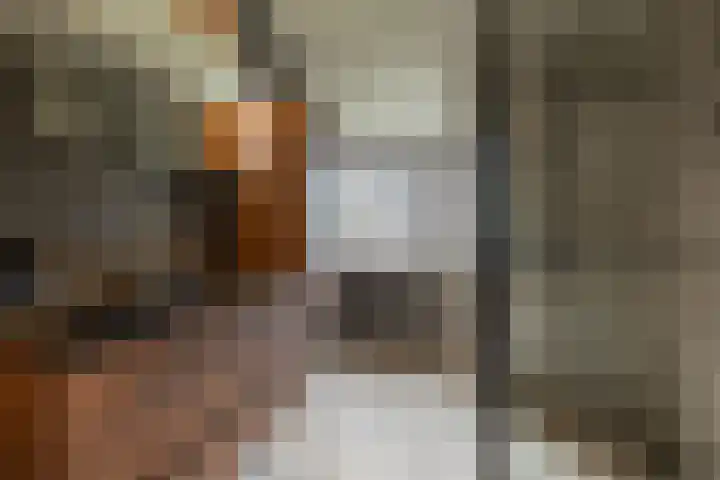 Bovenweg 56 Muntendam thumbnail 4