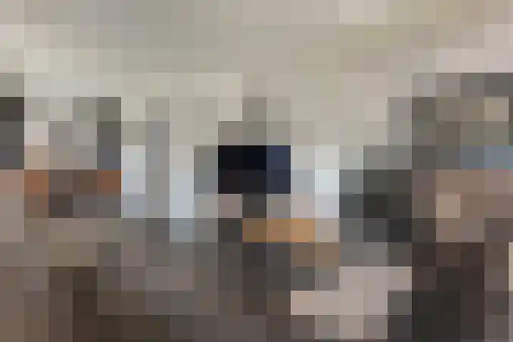 Bovenweg 56 Muntendam thumbnail 8