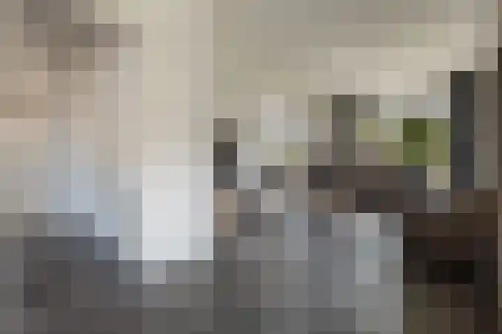 Bovenweg 56 Muntendam thumbnail 9