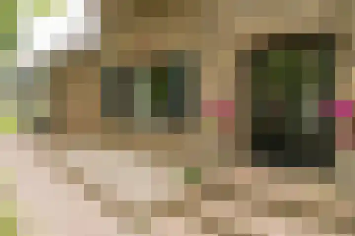 Bovenweg 7 't Harde thumbnail 11