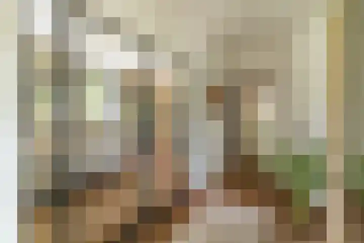 Bovenweg 7 't Harde thumbnail 14