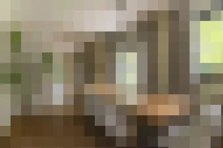Bovenweg 7 't Harde thumbnail 20