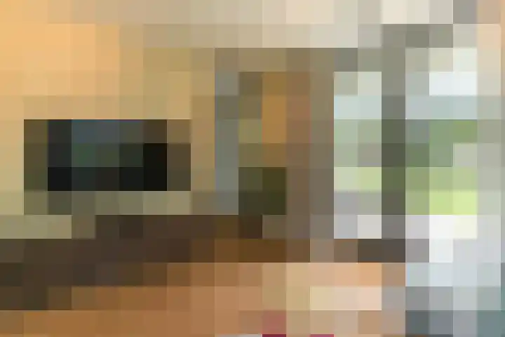 Bovenweg 7 't Harde thumbnail 29