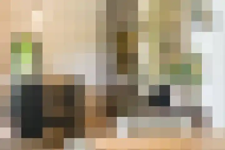 Bovenweg 7 't Harde thumbnail 34