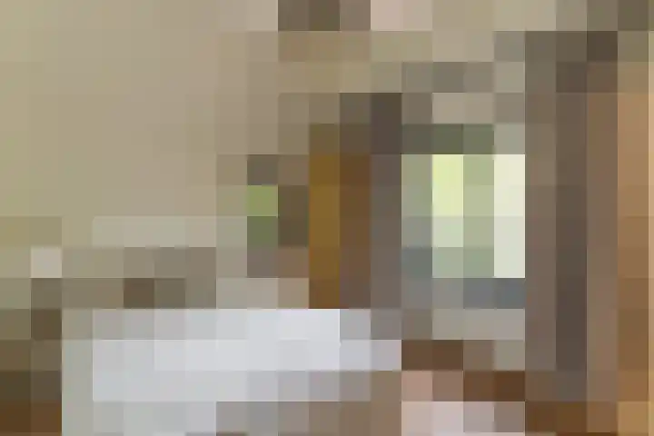 Bovenweg 7 't Harde thumbnail 45