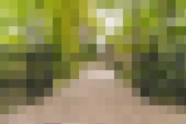 Bovenweg 7 't Harde thumbnail 5