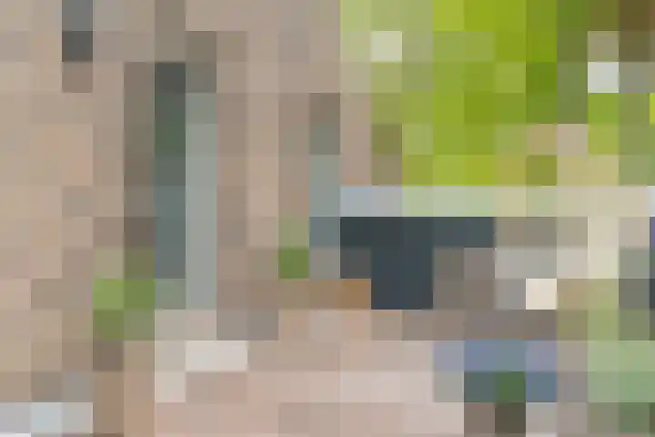 Bovenweg 7 't Harde thumbnail 56