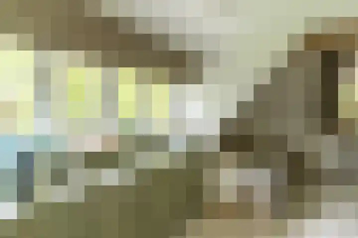 Bovenweg 7 't Harde thumbnail 59