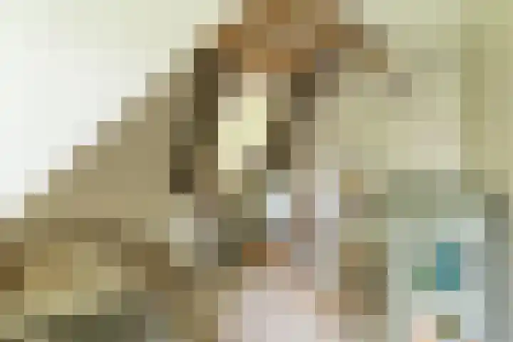 Bovenweg 7 't Harde thumbnail 60