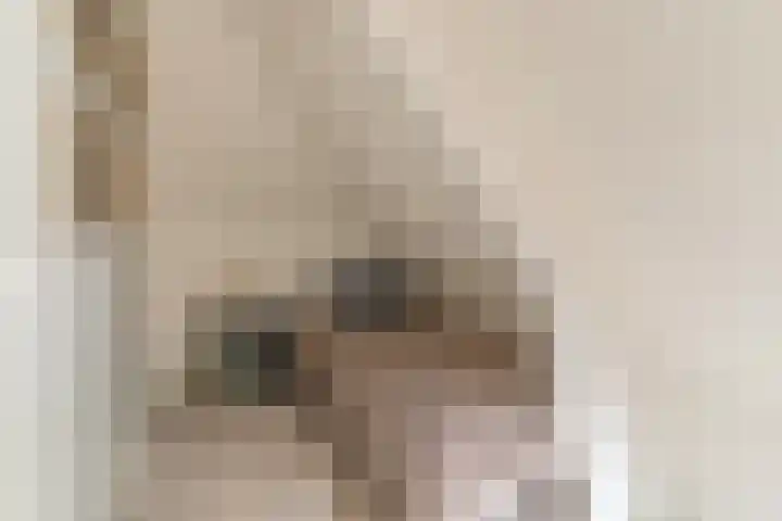 Bovenweg 7 't Harde thumbnail 62