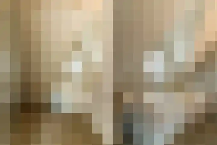 Bovenweg 7 't Harde thumbnail 63