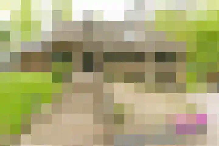 Bovenweg 7 't Harde thumbnail 66