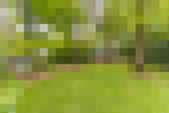 Bovenweg 7 't Harde thumbnail 69